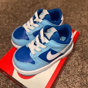 Toddler Nike Dunk Low